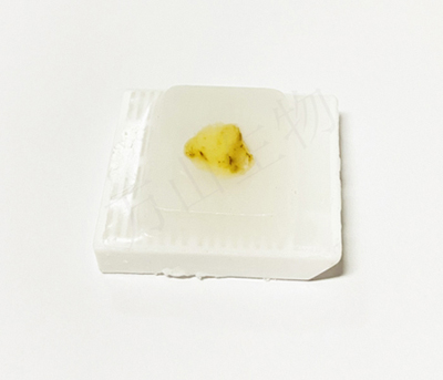 ֯ʯ
